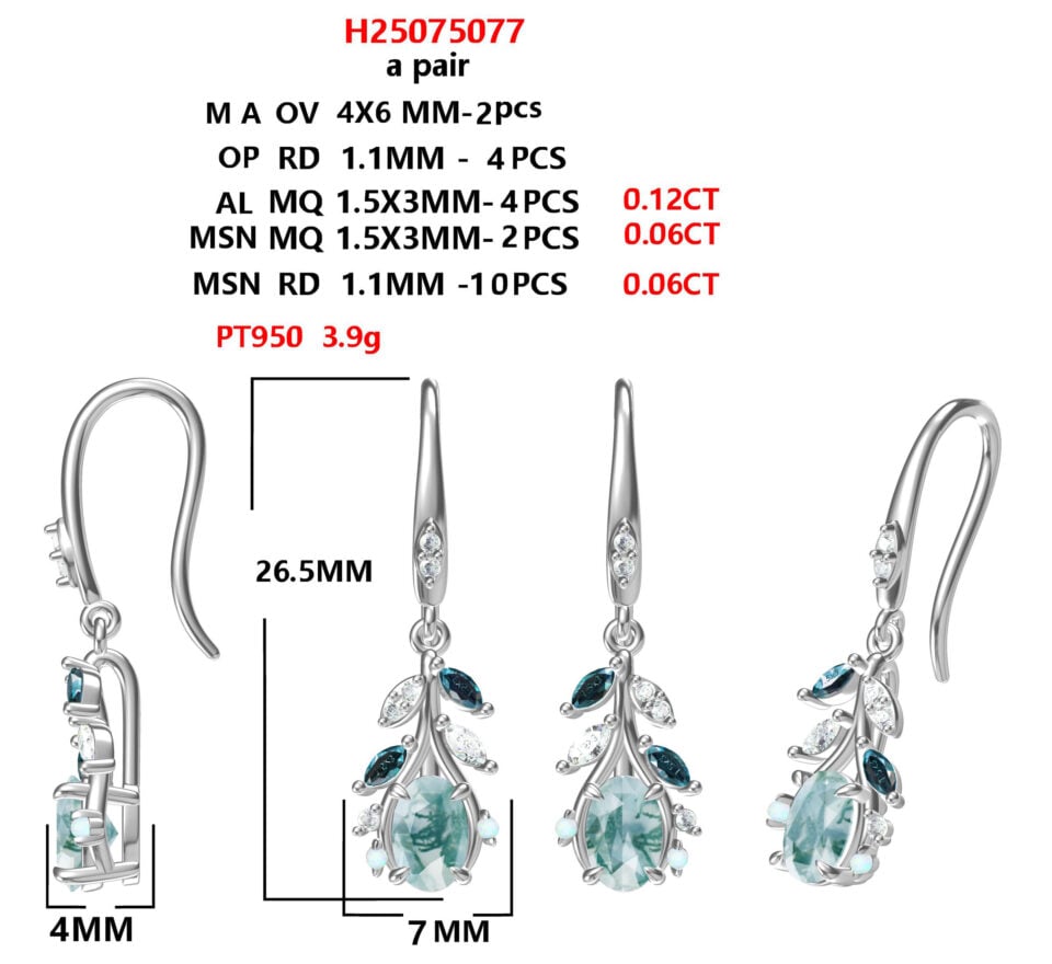 H25075077.