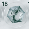 STONE 18