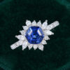 Hexagon Cut Sapphire Sunburst Halo Engagement Ring with Hidden Detail (3)