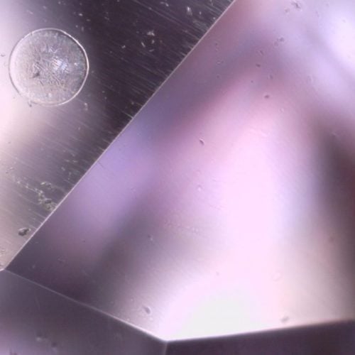 liquid-disk-pink-sapphire-inclusion-2-1024x827